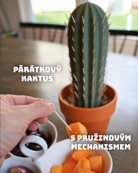 Kaktusový držák na párátka