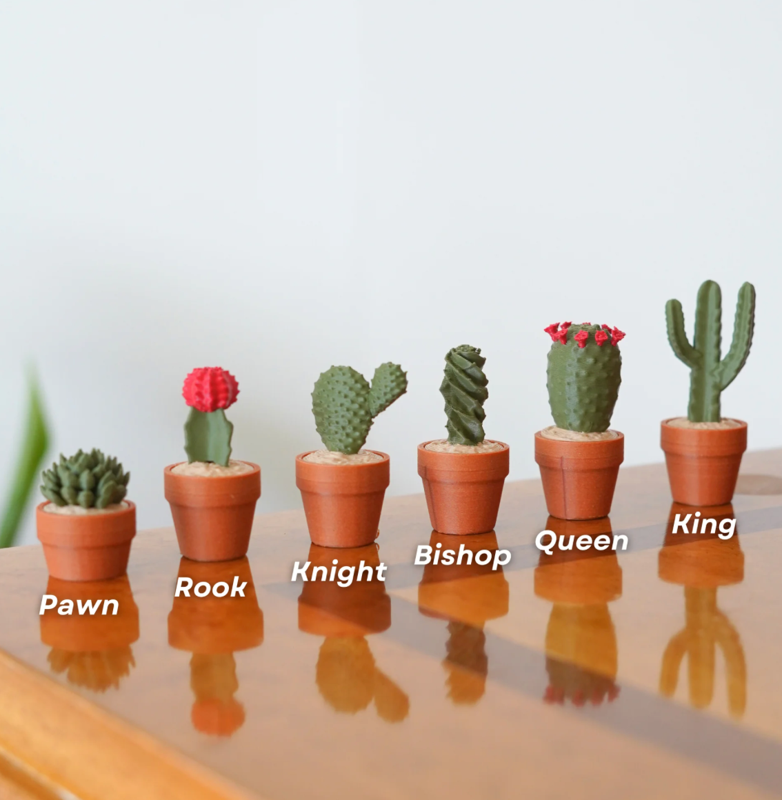 Šachová sada pro milovníky kaktusů 🌵