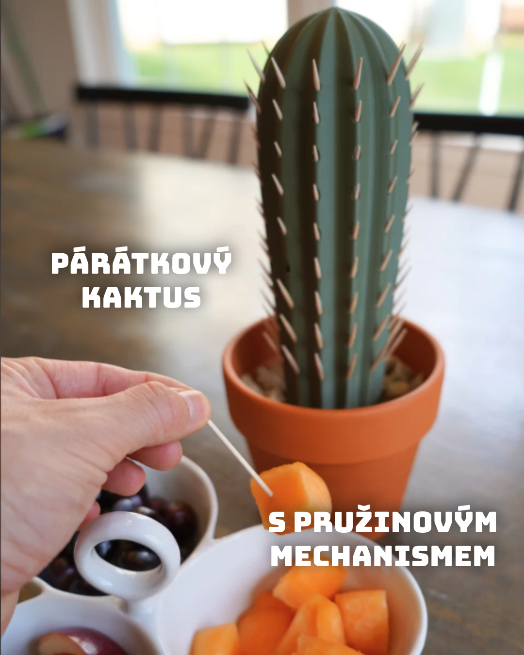 Kaktusový držák na párátka