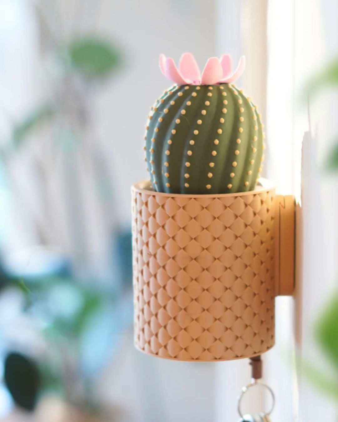 Kaktusový držák na klíče