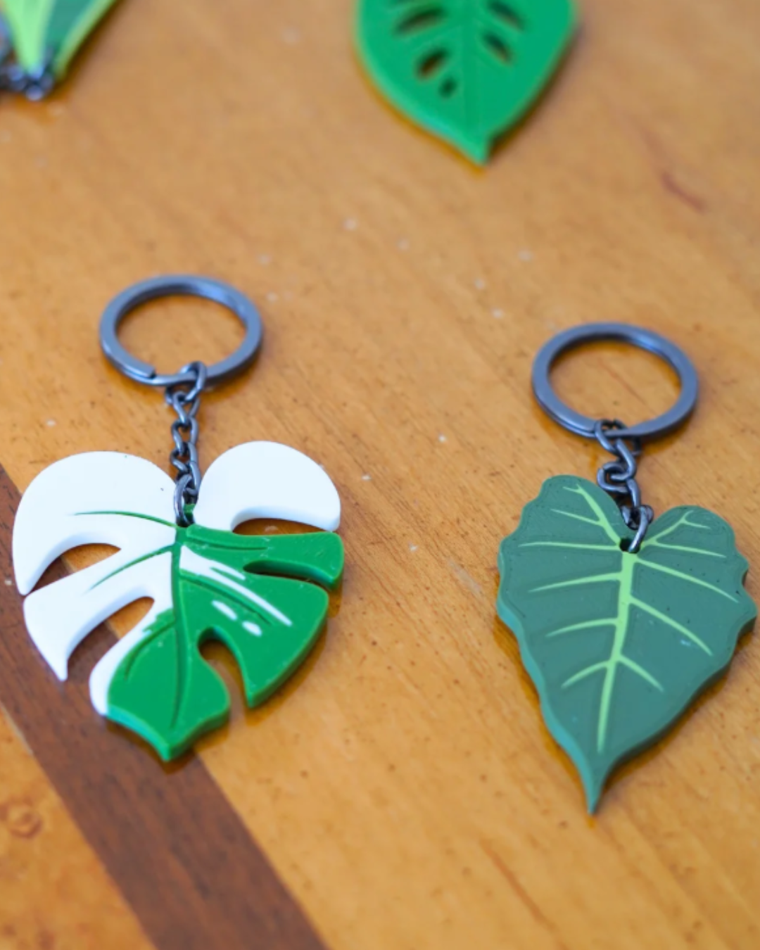 Klíčenka - pokojovka