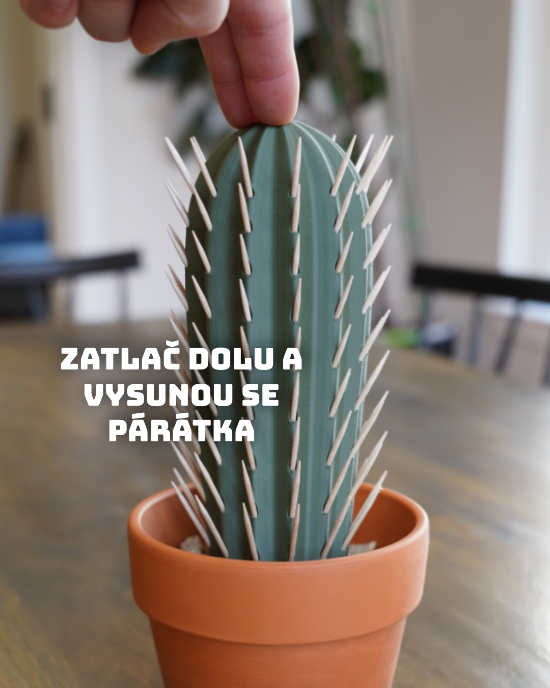 Kaktusový držák na párátka