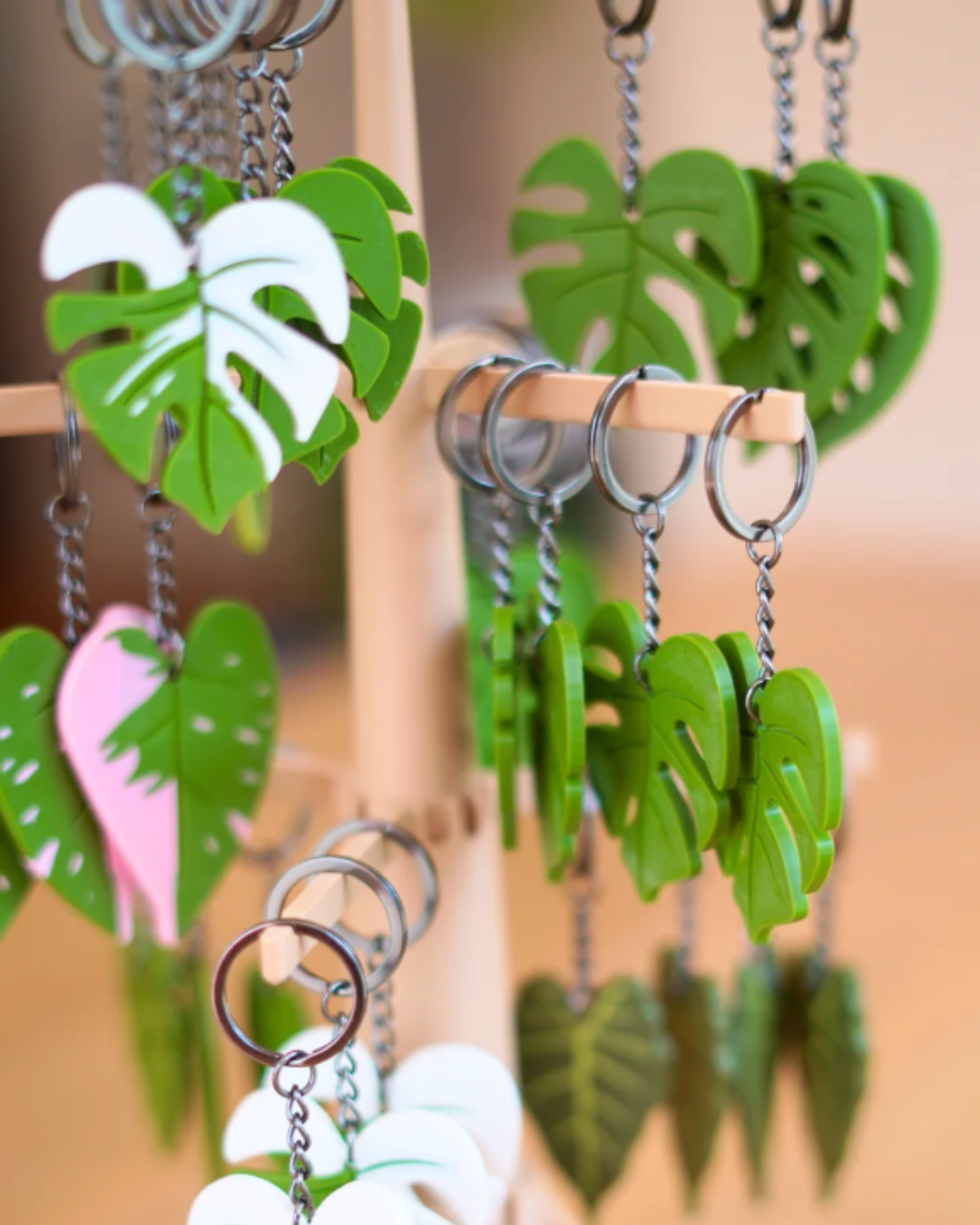 Klíčenka - pokojovka