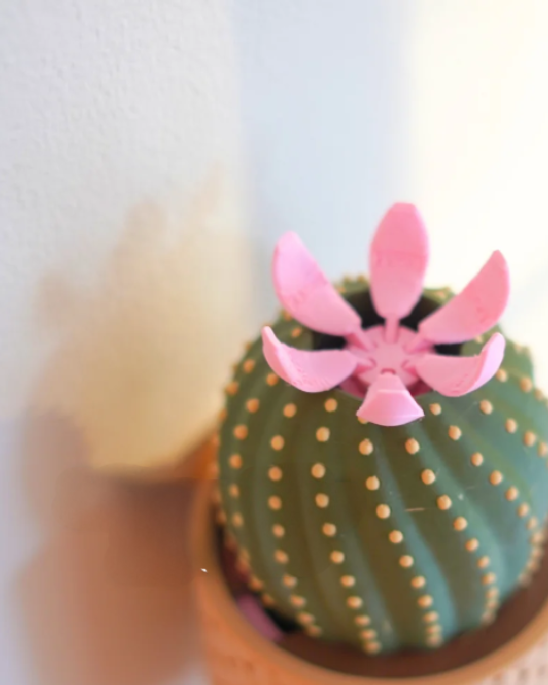 Kaktusový držák na klíče