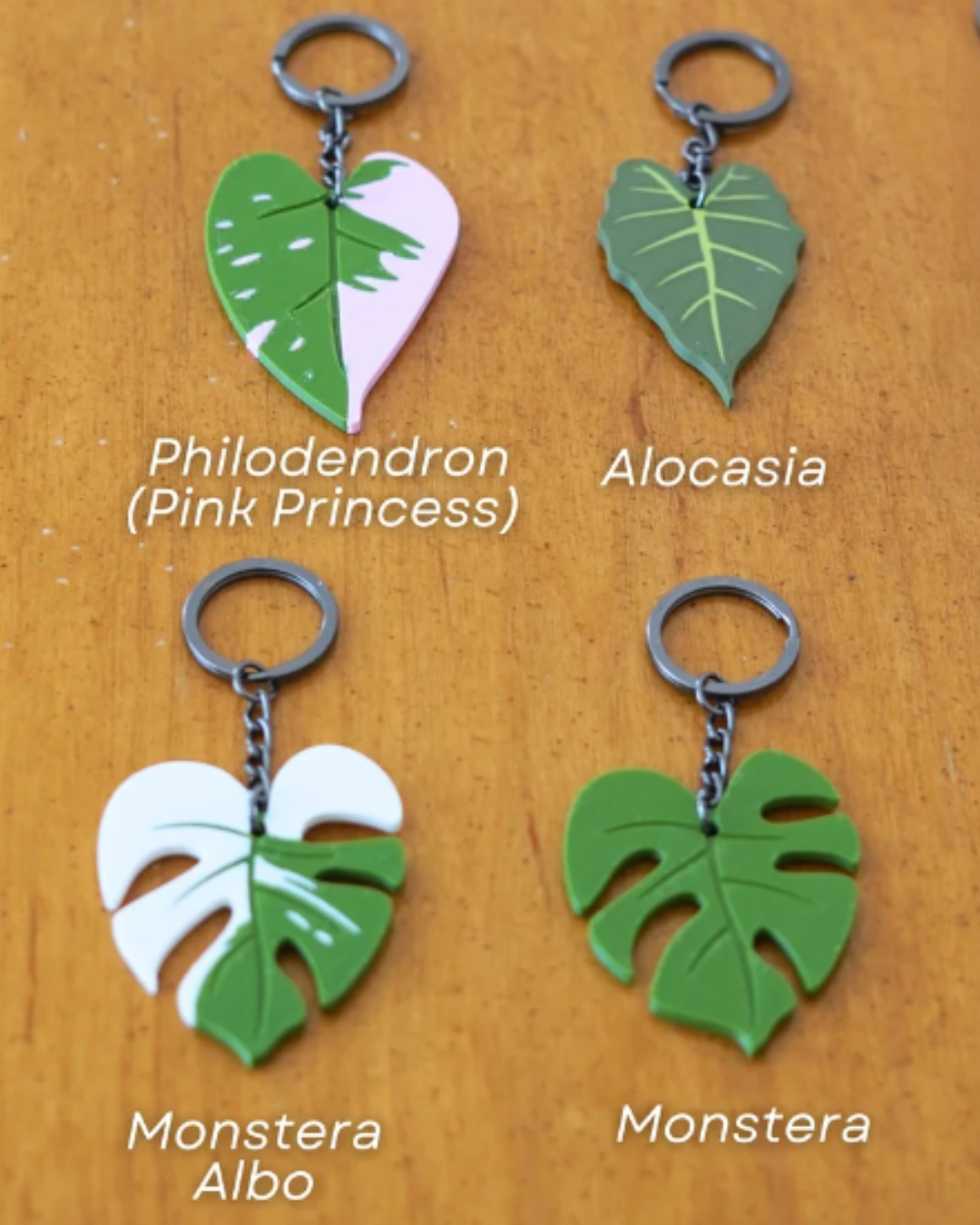 Klíčenka - pokojovka