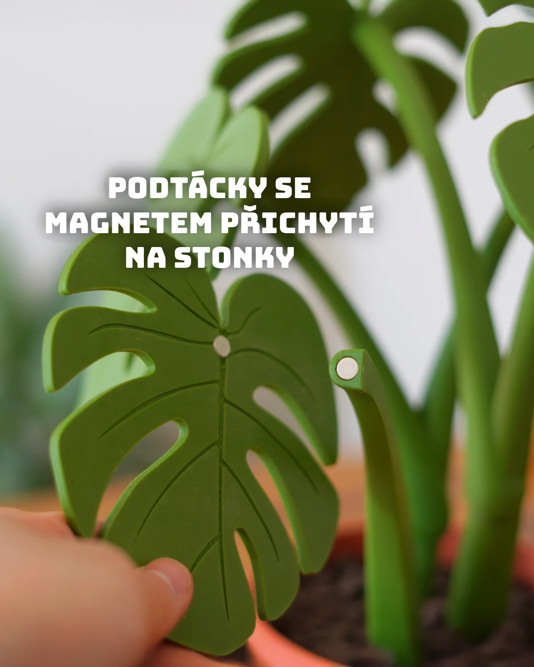 Magnnetická Monstera – sada podtácků