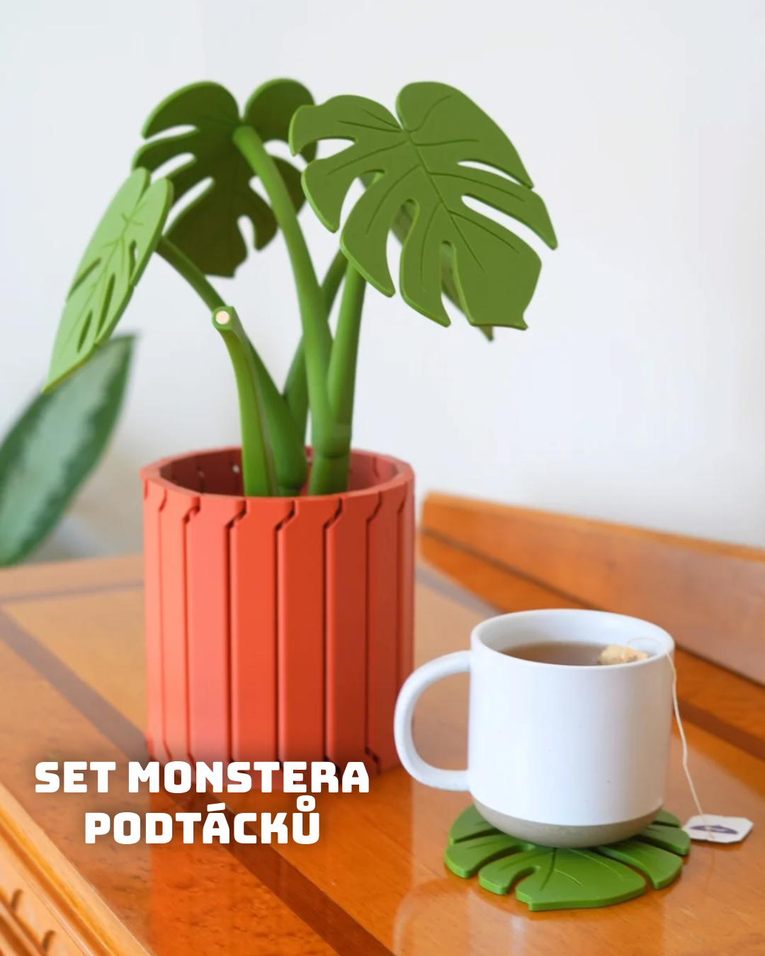 Magnnetická Monstera – sada podtácků