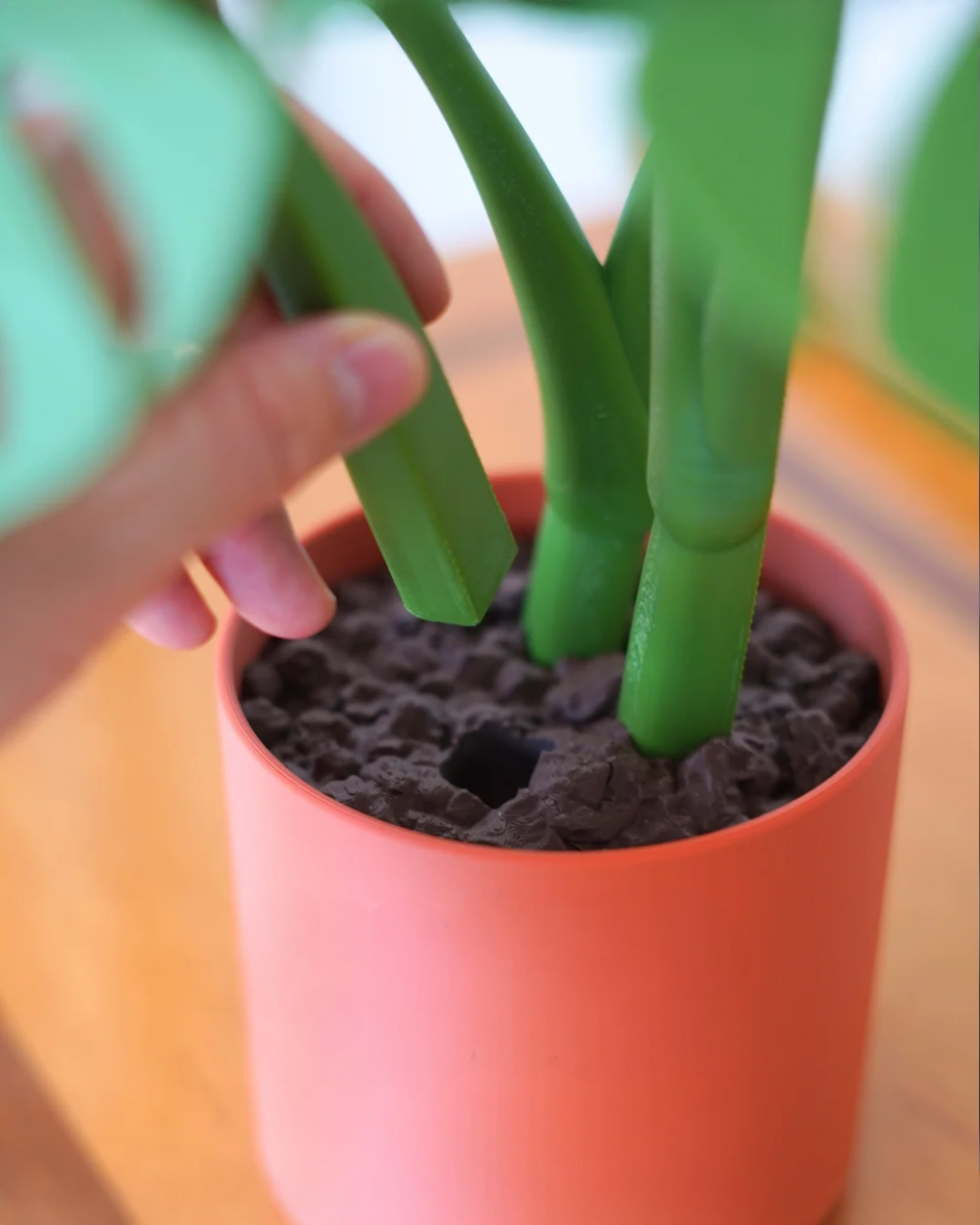 Magnnetická Monstera – sada podtácků