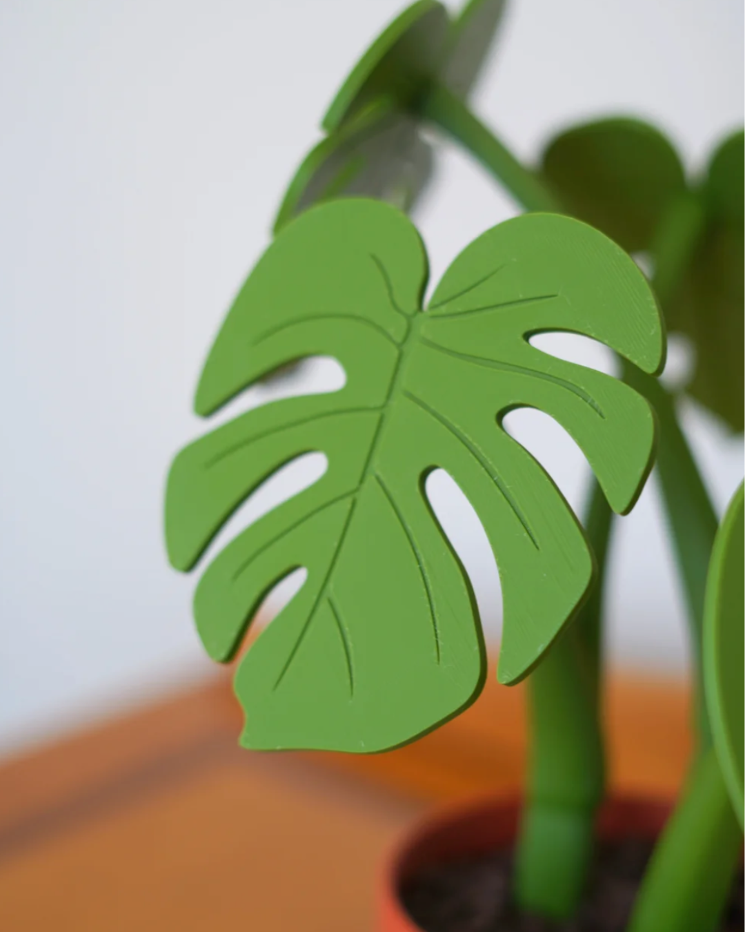 Magnnetická Monstera – sada podtácků