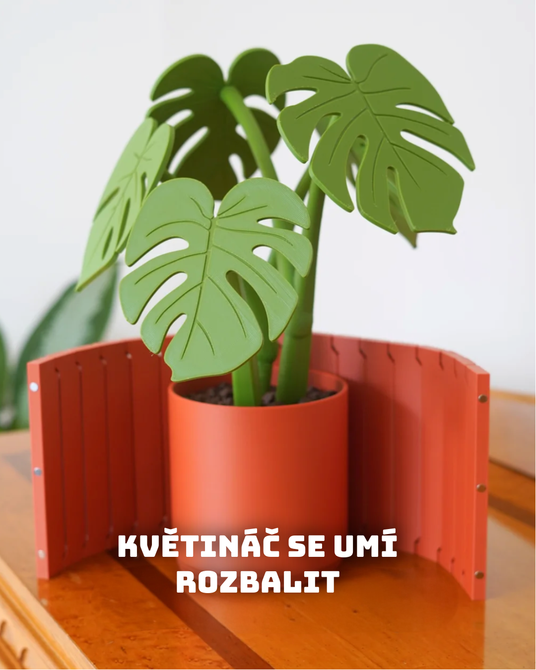 Magnnetická Monstera – sada podtácků