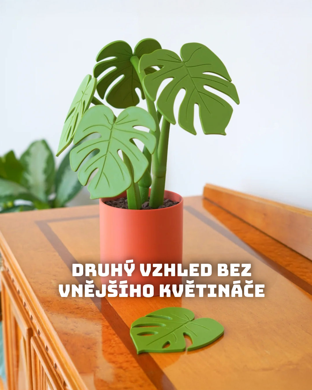 Magnnetická Monstera – sada podtácků